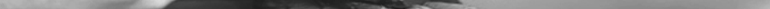 leduc_creative_sliver
