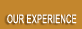 Our experience